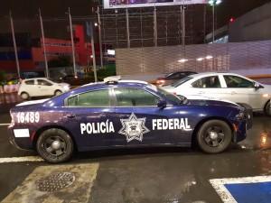 The Federales